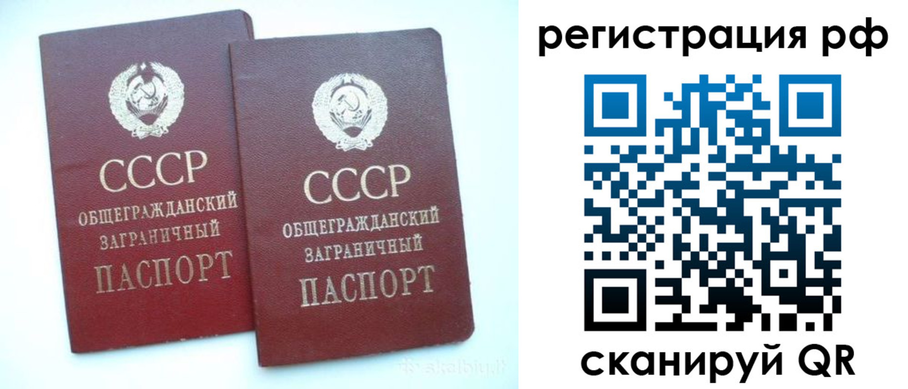 временная регистрация госуслуги в Курганской области